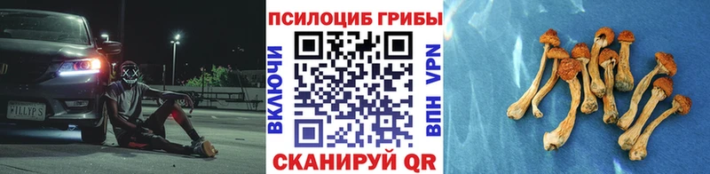 Галлюциногенные грибы Magic Shrooms  Армянск 